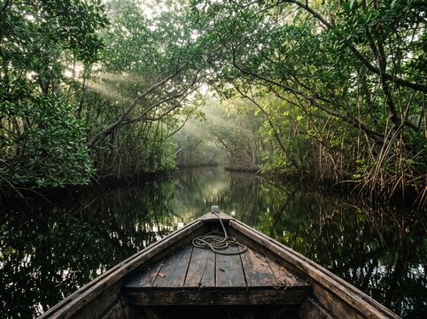 A Journey Through Mangrove Forest: A tranquil boat ride through a dense, vibrant mangrove forest, with sunlight filtering through the lush canopy and reflecting on the calm water.
