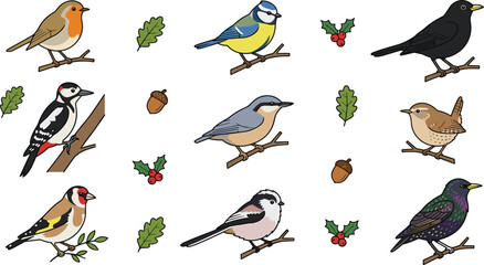 British Garden Birds Vector Illustration Set with Cute European Robin Blue Tit Woodpecker Goldfinch and Nuthatch Sitting on Branches Design Elements © Remi