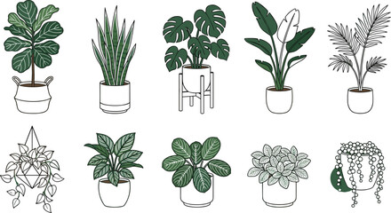 Indoor Houseplant Collection Vector Set with Tropical Potted Plants, Monstera, Snake Plant, Palm, Hanging Vines, and Modern Botanical Illustrations © MstSuborna