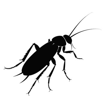 Black cockroach silhouette vector, isolated pest insect icon, detailed roach bug graphic for pest control services and hygiene awareness