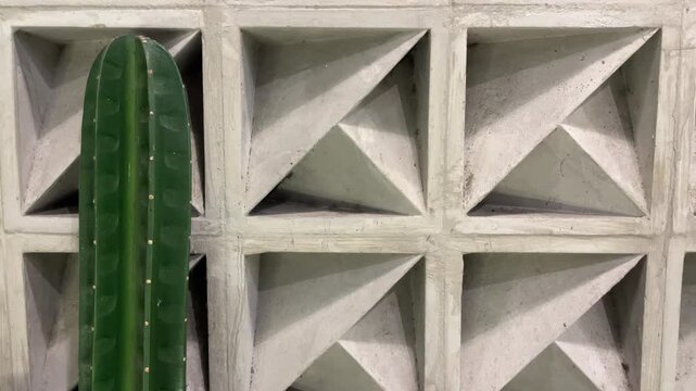 Green cactus stands beside geometric concrete blocks. Minimalist design evokes modern architecture. Cactus contrasts texture and color with neutral background. Sturdy plant symbolizes resilience. copy