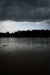 Fototapeta premium Tropical river after tropical rain storm with dramatic clouds