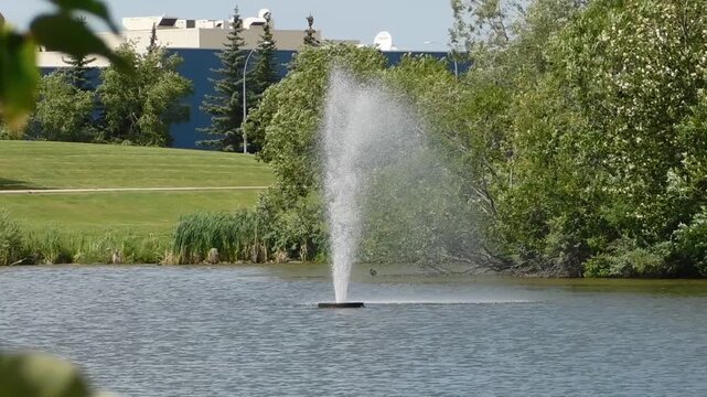 Fountain sprays water into a calm pond surrounded by green trees and grass on a sunny day in a public park, creating a peaceful outdoor environment with natural beauty and clear sky background.