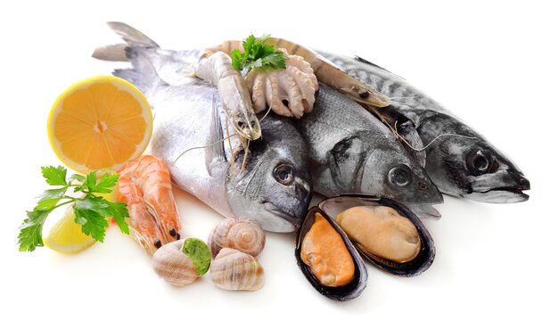 Assorted Fresh Seafood Platter with Citrus Garnish.