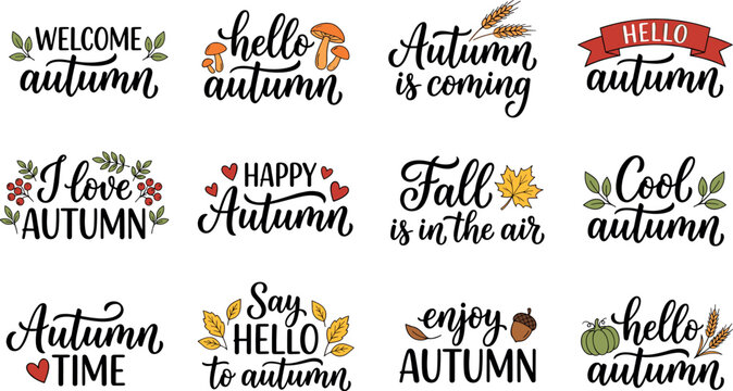 Autumn quotes lettering set isolated on white background hand drawn fall phrases collection welcome hello autumn quotes with seasonal decorations