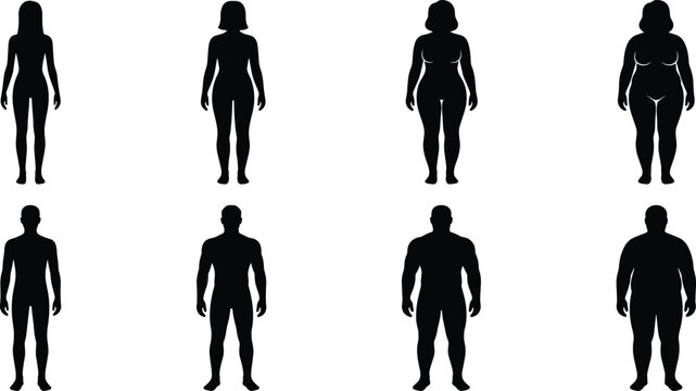 Collection of male and female body type silhouettes showing different shapes and sizes on a white background