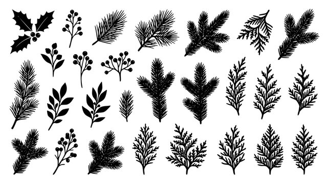 Set of black silhouette winter christmas botanical elements and evergreen branches