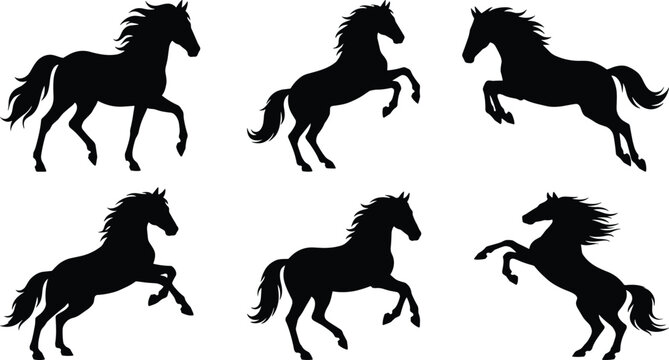 Running and rearing horse silhouettes set featuring wild stallion, equestrian poses, galloping, trotting, and jumping vector icons