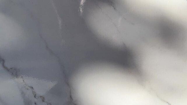 white carrara statuario marble texture background, calacatta glossy marble with grey streaks, satvario tiles, banco superwhite, ittalian blanco catedra stone texture for digital wall and floor tiles. 