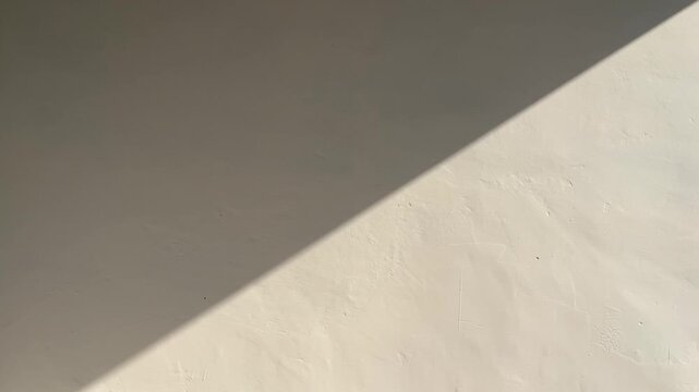 White wall white shadows and sun shine for background. backgrounds. sunlight. side view, front. copy space, empty, free, negative, text, design. half. black dark. bright. paint. presentation, mockup
