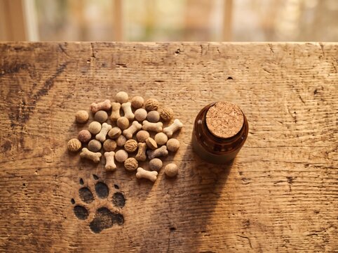 Dog daily multivitamin supplements on a rustic wooden table with paw print.
