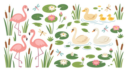 Flamingos and swans in a lily pad pond. © sabar