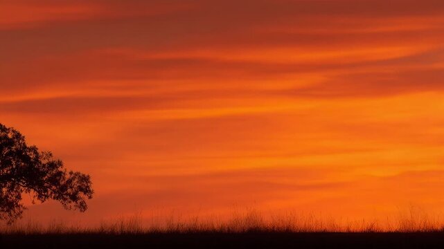 Silhouette of a lone athlete jogging along a grassy horizon against a dramatic orange sky