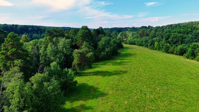 Lush green meadow bordered by dense forest under clear blue sky during sunny day