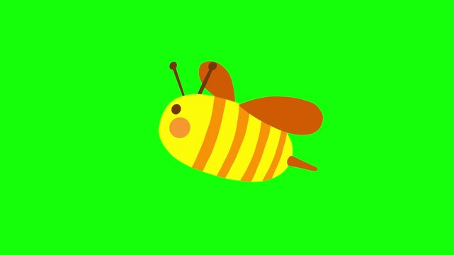4K motion graphics transition animation of bee on chroma key green screen background.