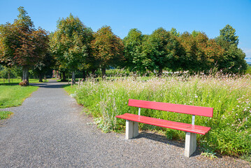 Fototapeta premium walkway Bonstettenpark, Gwatt. recreational area with trees and red bench, switzerland