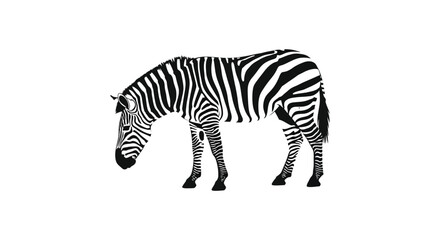 Obraz premium Zebra Silhouette Against A White Background Silhouette