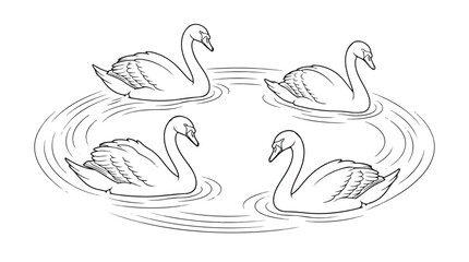 Graceful swan line art illustration, four elegant swimming swans on water ripples, minimalist bird vector drawing for coloring book © Noman