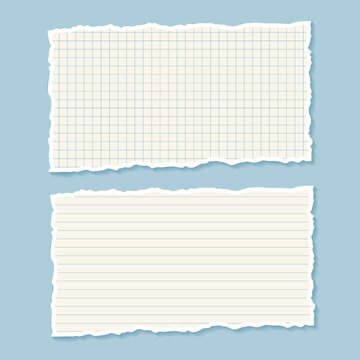 torn paper sheets with grid and lined patterns vector illustration.