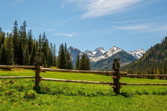 Scenic view of Bielovodska dolina in High Tatras, Slovakia. A vibrant green meadow with a rustic wooden fence in the foreground and majestic snow-capped mountain peaks under blue sky.
