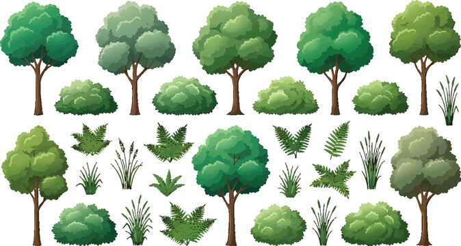 Collection of various green trees bushes ferns and wild grasses isolated on white background for landscape design vector illustration