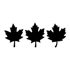 Fototapeta premium Three maple leaves set with varying shading levels featuring light, medium, and dark tones with clean vector lines and white background