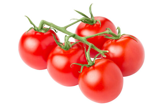 Fresh red tomatoes on vine, isolated on transparent cutout background
