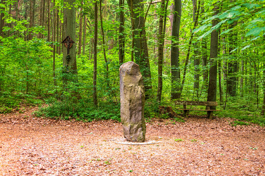Standing stone monument in Bavarian forest clearing