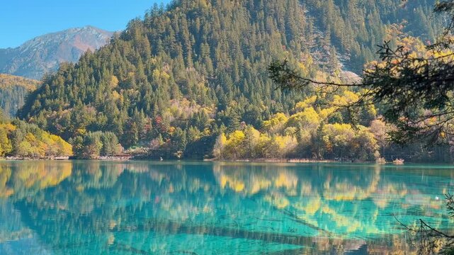 Scenery Jiuzhaigou national park in Sichuan, China. Beautiful Five Flower Lake in Autumn season. Famous Landmark and Vacation near Chengdu, China. Asia travel concept