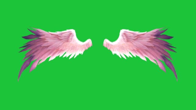 Soft pink feathered angel wings animation flapping on green screen background creating a digital motion effect