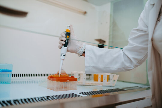 Laboratory Scientist Using Pipette to Prepare Samples in Sterile Research Lab With Gloves