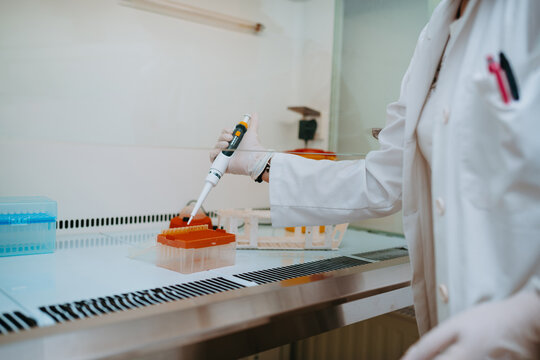 Scientist Using Pipette in Laboratory Biosafety Cabinet Preparing Sample Tubes for Molecular Research