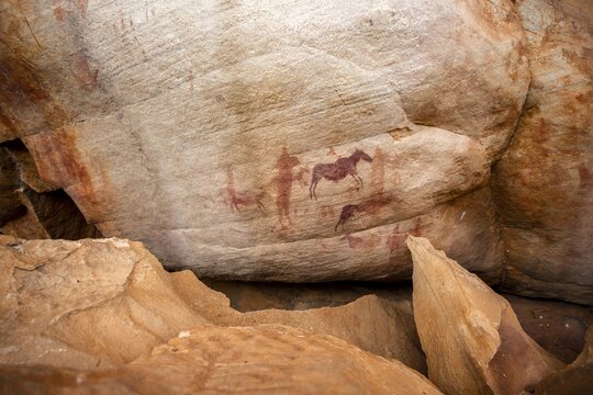 Prehistoric animal depictions, ancient rock carving of the San, indigenous people of South Africa, Seville Rock Art Trail, Cedar Mountains, Clanwilliam, Western Cape, Republic of South Africa