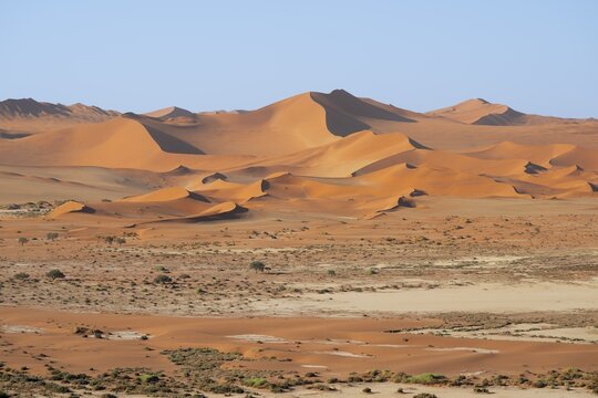 Red yellow sand dunes and white salt pans of the Namib, Namib Desert, Namib-Naukluft National Park, Namibia