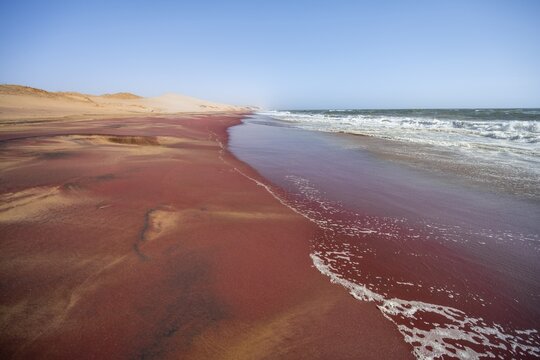 Sandy beach beach with pink sand, Atlantic coast in the Namib Desert, Sandwich Harbour, Namib Naukluft Park, Namib Desert, Namibia