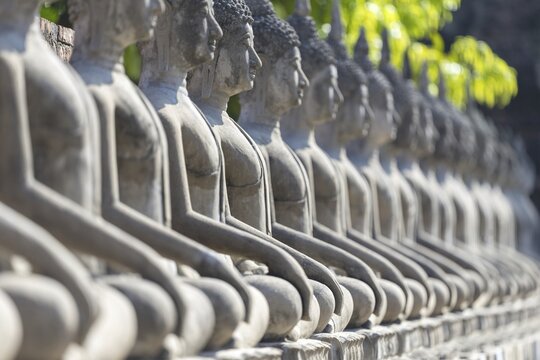 Row of Buddha statues (Bhumispara-mudra, Buddha Gautama at the moment of enlightenment), Great Chedi Chaya Mongkol, Wat Yai Chai Mongkon, Ayutthaya, Thailand