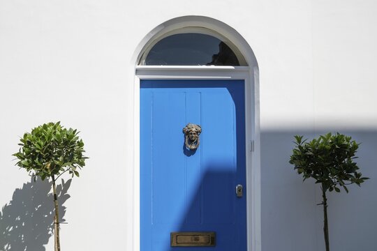 Close-up of a blue door with brass door knocker, round arched window and two plants against white painted background, Chelsea, London, Great Britain, England, Great Britain