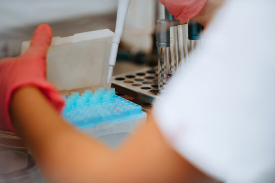 Laboratory Technician Using Pipette With Test Tubes in Clinical Research Lab for Molecular Analysis