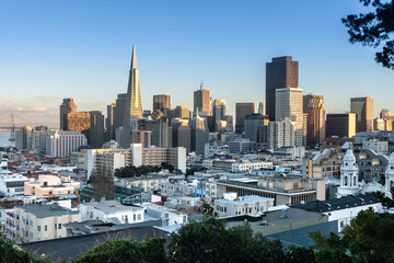 Fototapeta premium The iconic San Francisco skyline at sunset, featuring the Transamerica Pyramid, viewed from Russian Hill, San Francisco, California, USA.