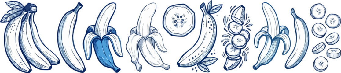 Set of hand drawn banana fruit illustrations with peeled bananas and sliced pieces in a artistic sketch style design Vector © Mim