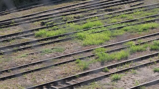 Abandoned railway tracks and overgrown grass