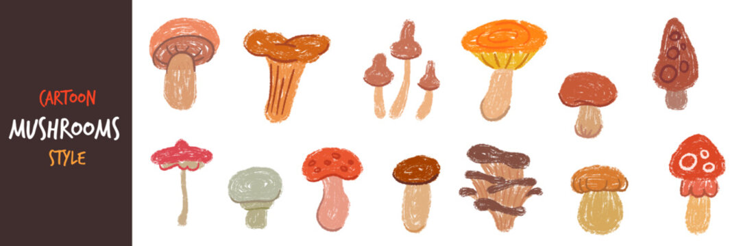 Vector set of various edible and poisonous woodland mushrooms drawn in hand drawn crayon pencil textured style. Children illustration for book or game design.