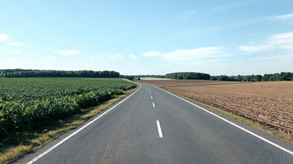 Naklejka premium A two-lane asphalt road winds through agricultural fields under a clear sunny sky in the countryside.