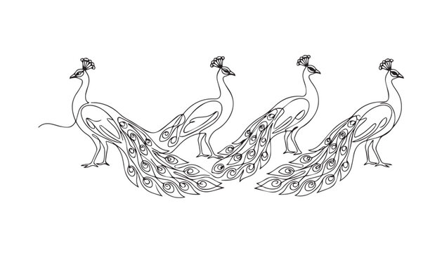 Continuous Simple black line art drawing set of Indian peafowl in a minimalist style on a white background.