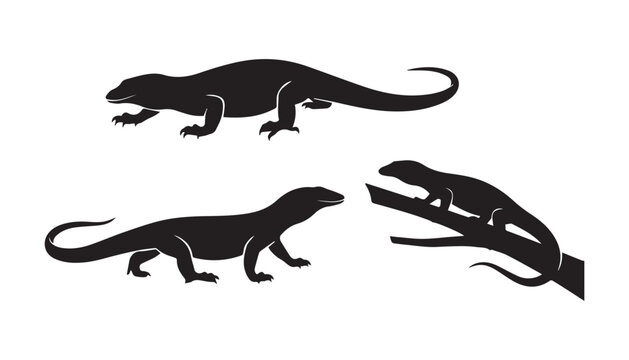 black and white silhouette set of lizard very high quality vector illustration.