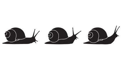 black and white silhouette set of snail very high quality vector illustration. © dinesh