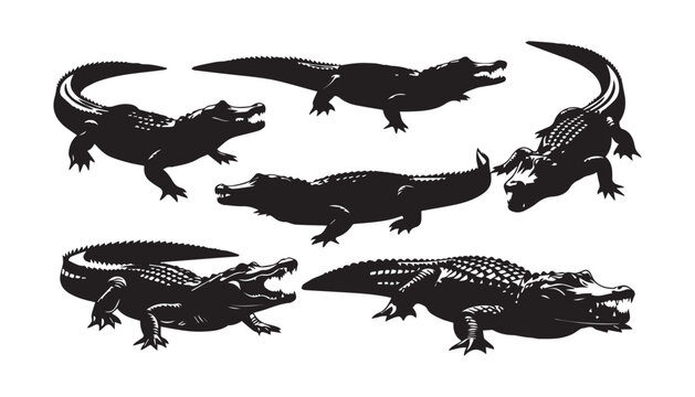 black and white silhouette set of crocodile very high quality vector illustration.