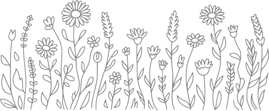 Borde de prado floral dibujado a mano con varias flores silvestres y margaritas en un estilo de l&iacute;nea simple