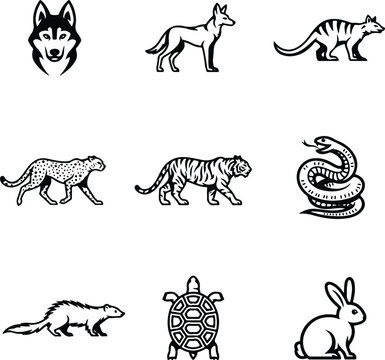 Colorful Wild Animal Vectors with Wolf, Tiger, Cheetah, and Snake