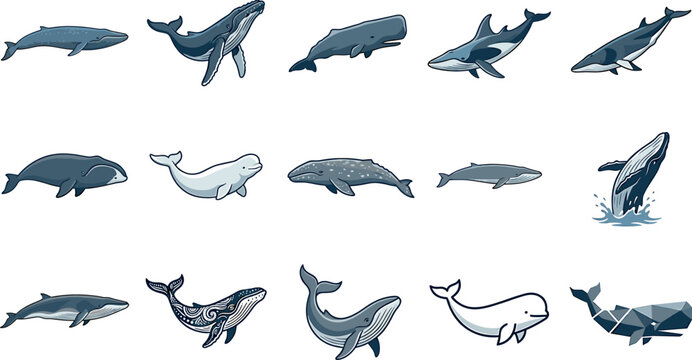 Whale vector illustration collection featuring blue humpback sperm beluga killer whale species tribal patterns and geometric low poly designs on white background